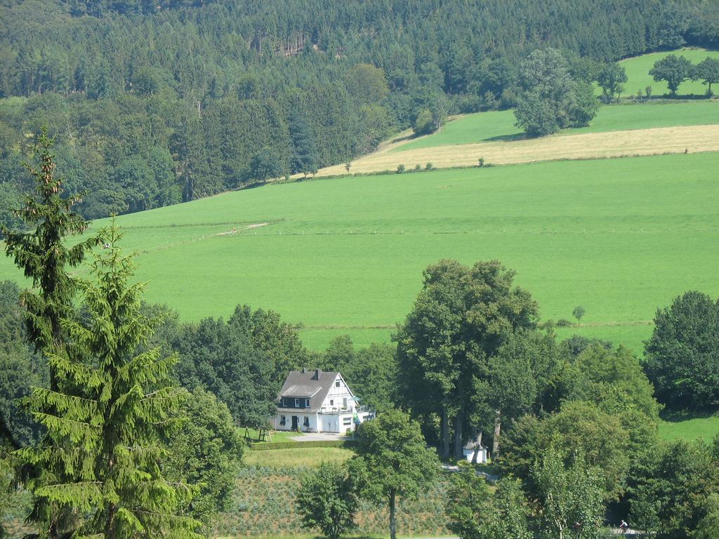 Pension Haus Am Walde Hotel Schmallenberg Buitenkant foto