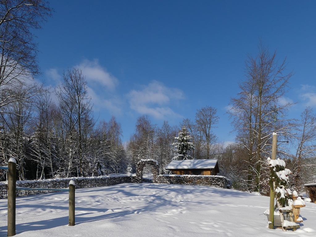 Pension Haus Am Walde Hotel Schmallenberg Buitenkant foto