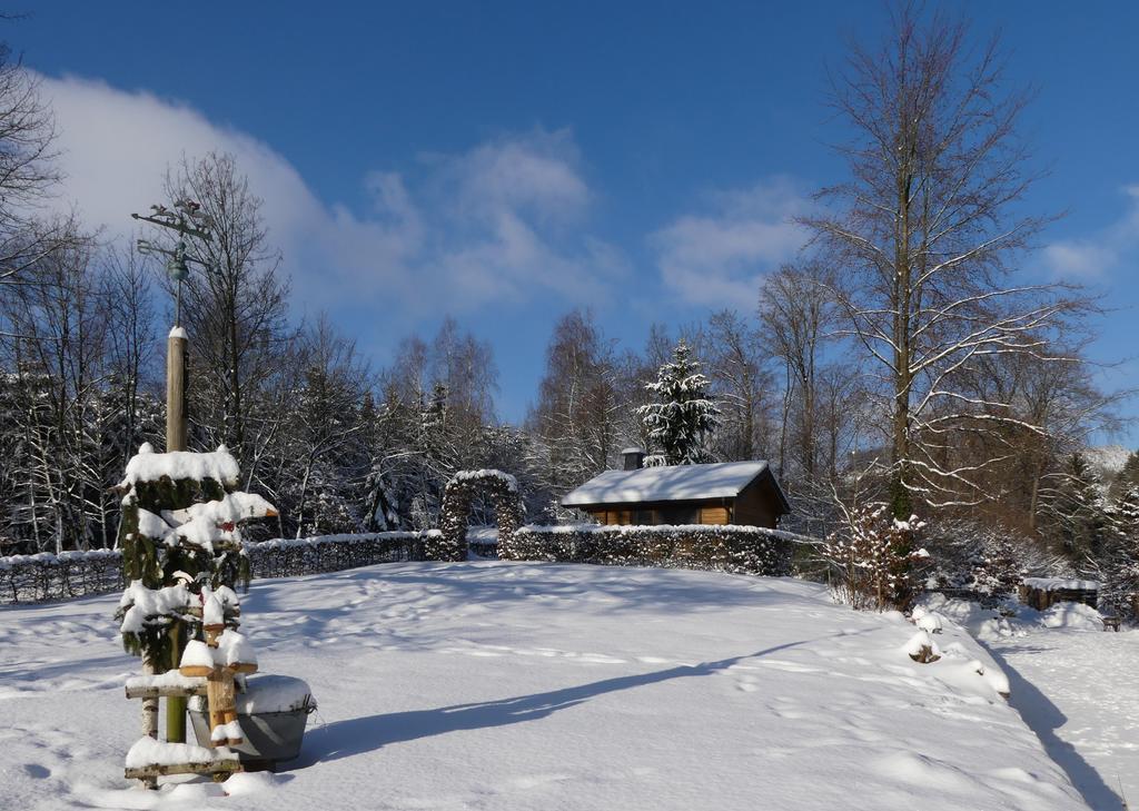 Pension Haus Am Walde Hotel Schmallenberg Buitenkant foto