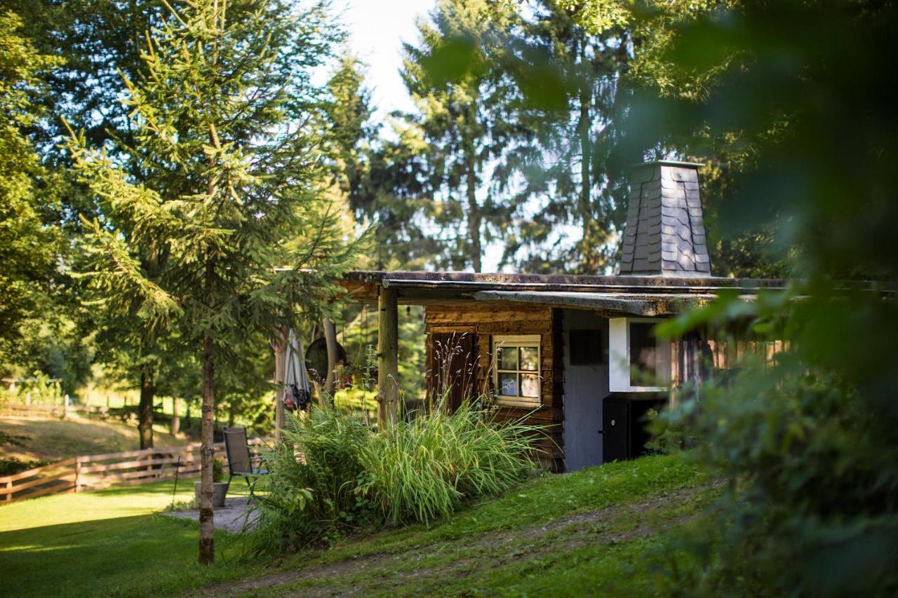 Pension Haus Am Walde Hotel Schmallenberg Buitenkant foto